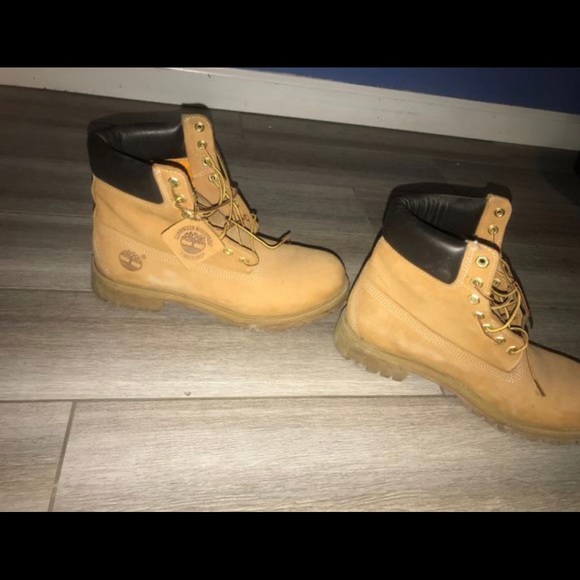 Timberlands size 10